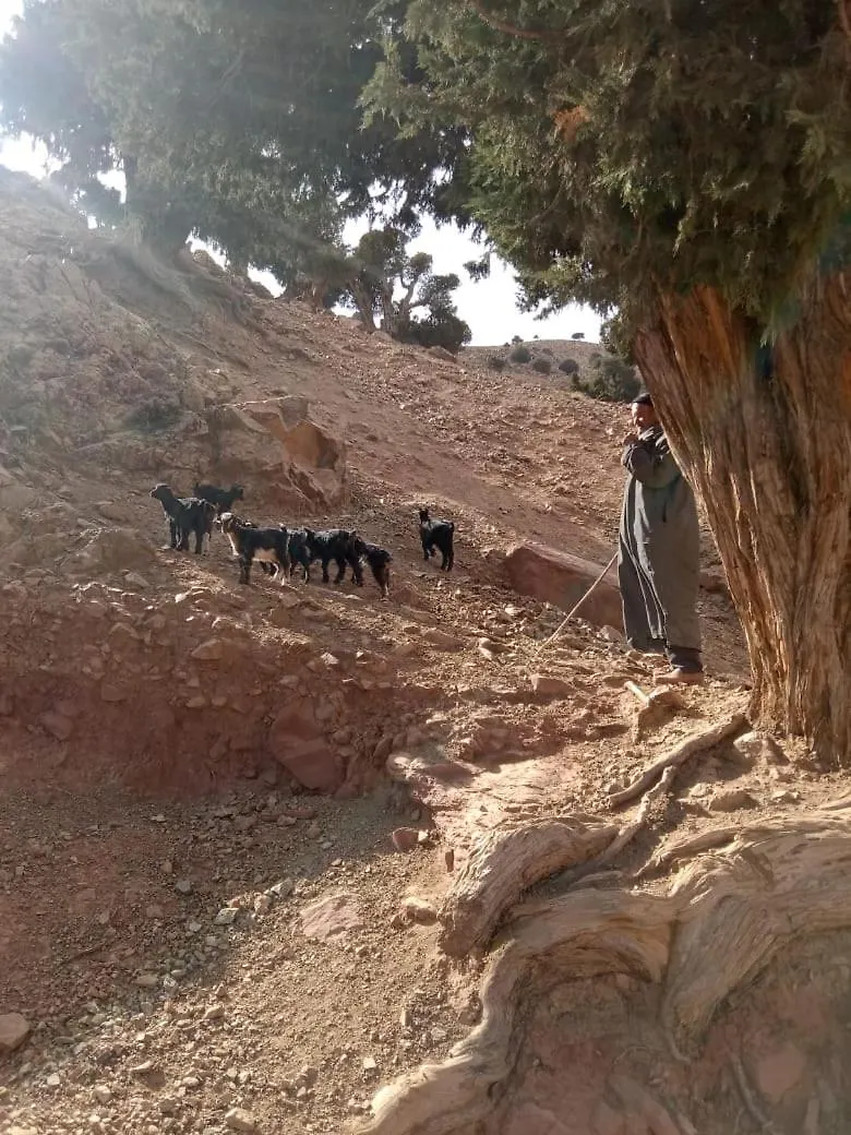 Tazart Lodge مراكش شقة
