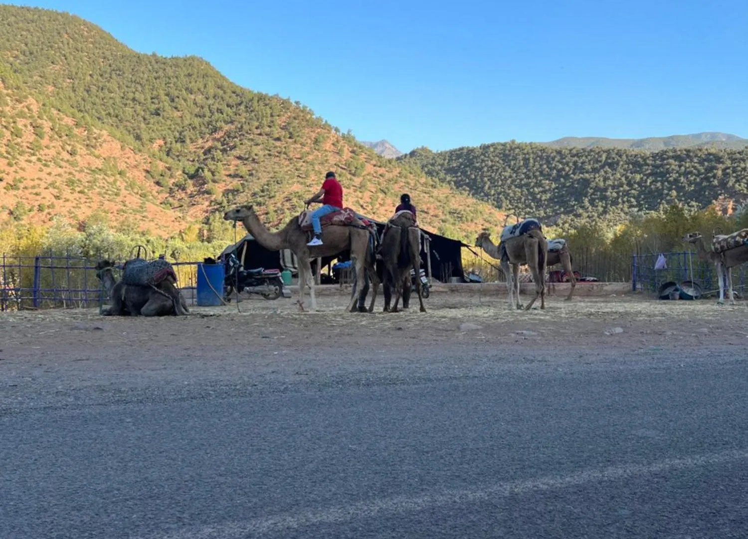 Tazart Lodge مراكش شقة